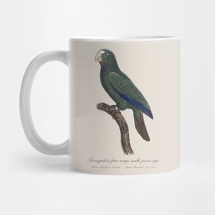 Cuban Amazon Parrot Juvenile Male / Le Perroquet a Face Rouge Male, Jeune Age - 19th century Jacques Barraband Illustration Mug